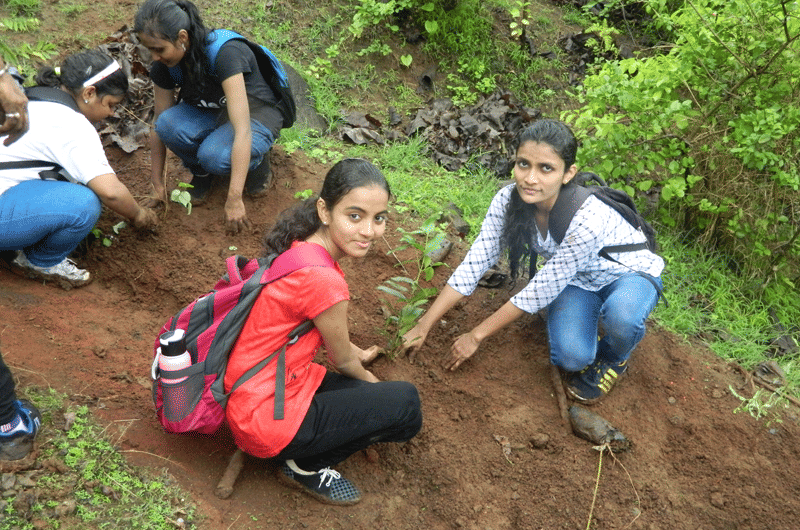 Dr DY Patil Homeopathic Medical College and Research Centre Pune Plantation Day photo 4
